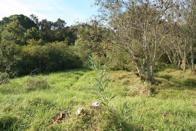 0 Bedroom Property for Sale in Knysna Central Western Cape